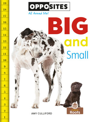 cover image of Big and Small